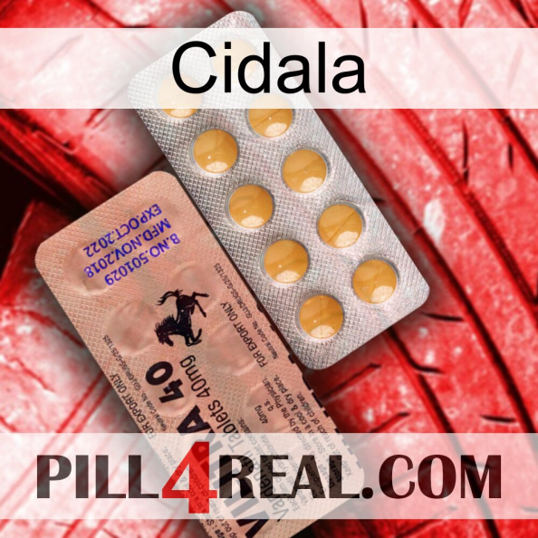 Cidala 41.jpg